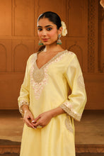 Load image into Gallery viewer, A-line chauga with salwar