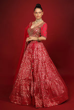 Load image into Gallery viewer, rani banarasi chanderi lehenga set with organza dupattat and blouse