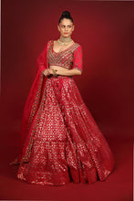 Load image into Gallery viewer, rani banarasi chanderi lehenga set with organza dupattat and blouse
