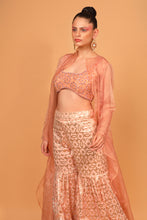 Load image into Gallery viewer, peach banarasi chanderi sharara with organza cape and blouse