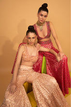 Load image into Gallery viewer, rani banarasi chanderi sharara with organza cape and blouse