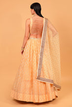 Load image into Gallery viewer, orange banarasi organza lehenga with organza dupattat and blouse