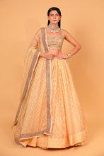 Load image into Gallery viewer, orange banarasi organza lehenga with organza dupattat and blouse