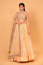 Load image into Gallery viewer, orange banarasi organza lehenga with organza dupattat and blouse