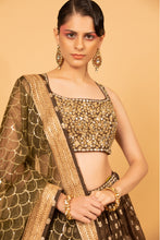 Load image into Gallery viewer, brown banarasi organza lehenga with organza dupattat and blouse