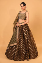 Load image into Gallery viewer, brown banarasi organza lehenga with organza dupattat and blouse