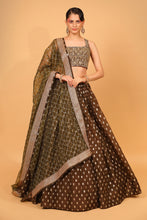 Load image into Gallery viewer, brown banarasi organza lehenga with organza dupattat and blouse