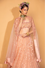 Load image into Gallery viewer, peach banarasi organza lehenga wite organza cape and blouse
