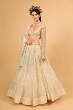 Load image into Gallery viewer, ivory banarasi organza lehenga with organza dupattat and blouse