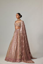 Load image into Gallery viewer, DEEP BEIGE MULTICOLOR METALLIC LEHENGA WITH ELBOW BLOUSE