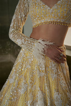 Load image into Gallery viewer, Yellow Lehenga Choli Set