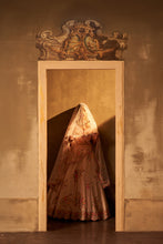 Load image into Gallery viewer, Pink Raw Silk Double Dupatta Lehenga Set