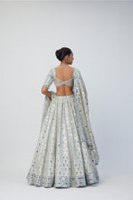 Load image into Gallery viewer, Silver Shimmer Organza Lehenga Set
