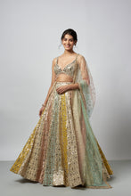 Load image into Gallery viewer, Ranjeeta Lehenga set