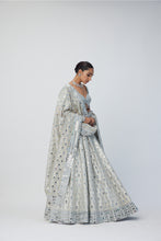 Load image into Gallery viewer, Silver Shimmer Organza Lehenga Set