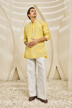 Load image into Gallery viewer, Peela Bagh Kurta Set