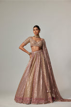 Load image into Gallery viewer, DEEP BEIGE MULTICOLOR METALLIC LEHENGA WITH ELBOW BLOUSE