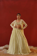 Load image into Gallery viewer, Mint green organza lehenga choli set