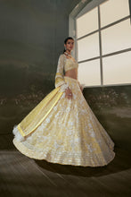 Load image into Gallery viewer, Yellow Lehenga Choli Set