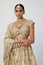 Load image into Gallery viewer, Golden Shimmer Organza Flower Lehenga Set