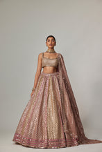 Load image into Gallery viewer, DEEP BEIGE MULTICOLOR METALLIC LEHENGA WITH SQUARE NECK BLOUSE