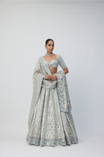 Load image into Gallery viewer, Silver Shimmer Organza Lehenga Set