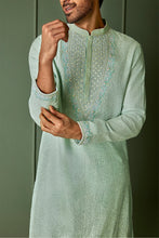Load image into Gallery viewer, Paisley Perfection Sky Blue Chanderi Silk Embroidered Kurta