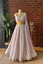 Load image into Gallery viewer, Multipanel and multicolour lehenga set
