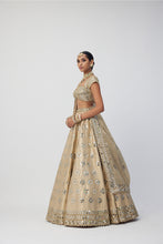 Load image into Gallery viewer, Golden Shimmer Organza Flower Lehenga Set