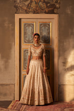 Load image into Gallery viewer, Ivory Raw Silk Double Dupatta Lehenga Set