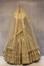 Load image into Gallery viewer, Ivory Raw Silk Double Dupatta Lehenga Set