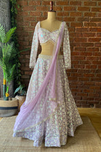 Load image into Gallery viewer, Periwinkle Sequin work lehenga set
