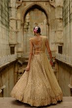 Load image into Gallery viewer, Gold Net Lehenga Set