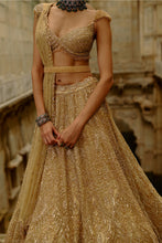 Load image into Gallery viewer, Gold Net Lehenga Set