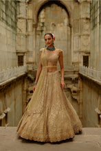 Load image into Gallery viewer, Gold Net Lehenga Set