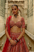 Load image into Gallery viewer, Red Raw Silk Multi-Resham Embroidery Lehenga Set