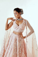 Load image into Gallery viewer, HALF GARDEN PINK - HALF GARDEN PINK ORGANZA LEHENGA SET