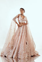 Load image into Gallery viewer, HALF GARDEN PINK - HALF GARDEN PINK ORGANZA LEHENGA SET