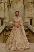 Load image into Gallery viewer, Gold Lehenga Set