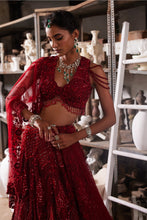 Load image into Gallery viewer, Regal red lehenga