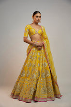 Load image into Gallery viewer, Golconda Anha Lehenga set
