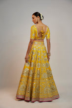 Load image into Gallery viewer, Golconda Anha Lehenga set