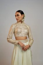 Load image into Gallery viewer, Golconda Shaziya skirt set