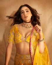 Load image into Gallery viewer, Golconda Anha Lehenga set