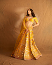 Load image into Gallery viewer, Golconda Anha Lehenga set