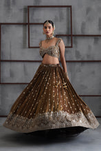 Load image into Gallery viewer, Brown embroidered blouse, lehenga and dupatta