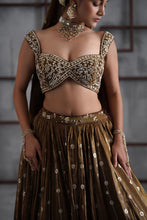 Load image into Gallery viewer, Brown embroidered blouse, lehenga and dupatta