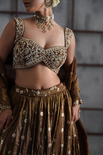 Load image into Gallery viewer, Brown embroidered blouse, lehenga and dupatta