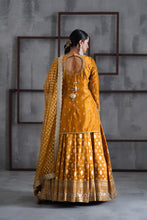 Load image into Gallery viewer, Mustard embroidered kurti, brocade lehenga and dupatta