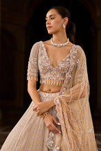 Load image into Gallery viewer, MUSHROOM OMBRE DYED ORGANZA LEHENGA CHOLI SET WITH TULLE DUPATTA